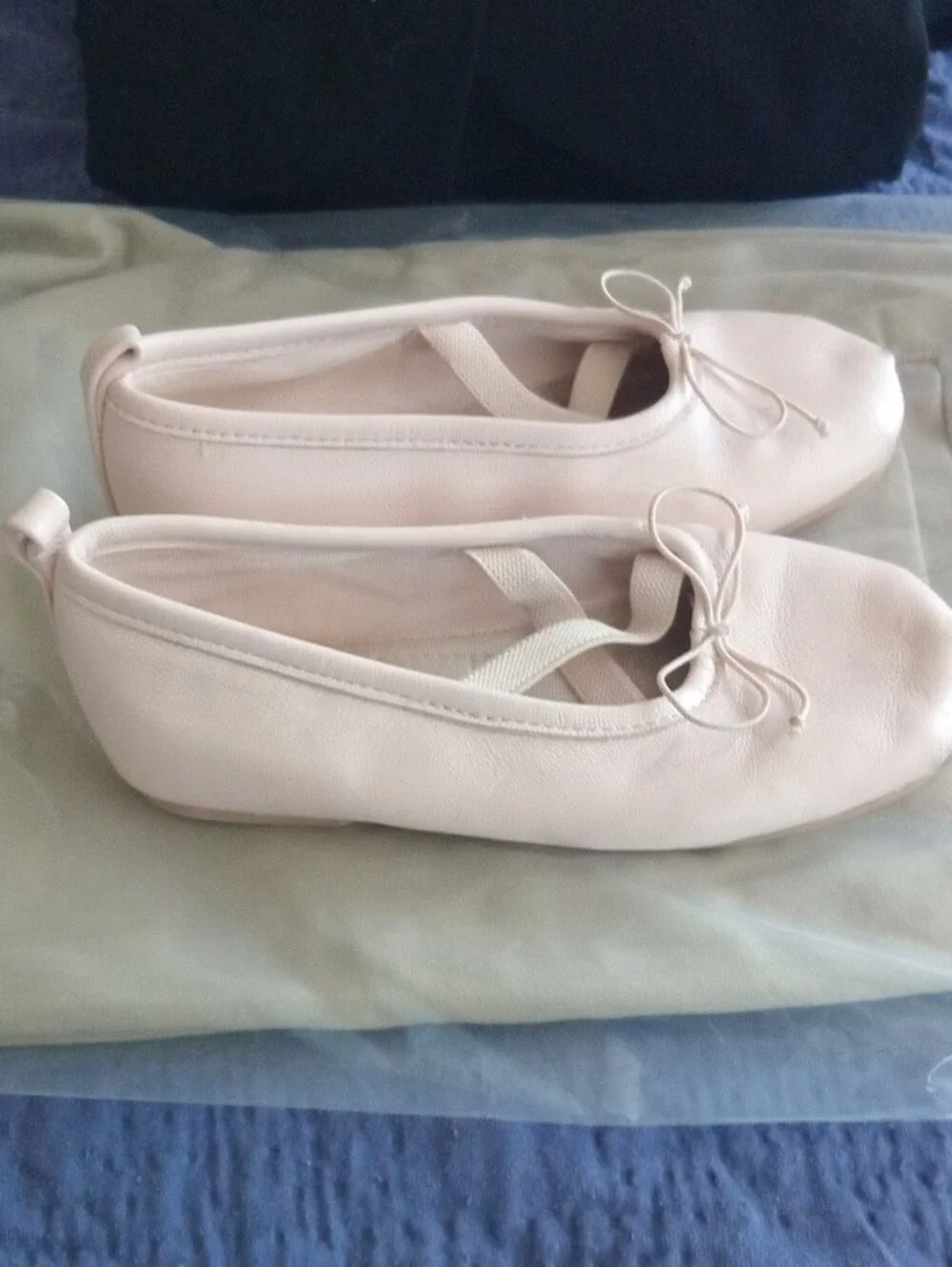 Zara Pale Pink Ballet Flats with Bow
